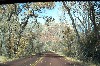 Inside Zion National Park